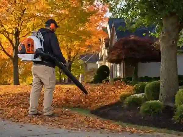 Fall Cleanup Program - Southern Landscape Management