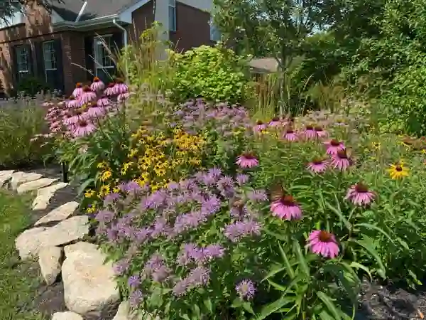 Native Pollinator Garden - Southern Landscape Management