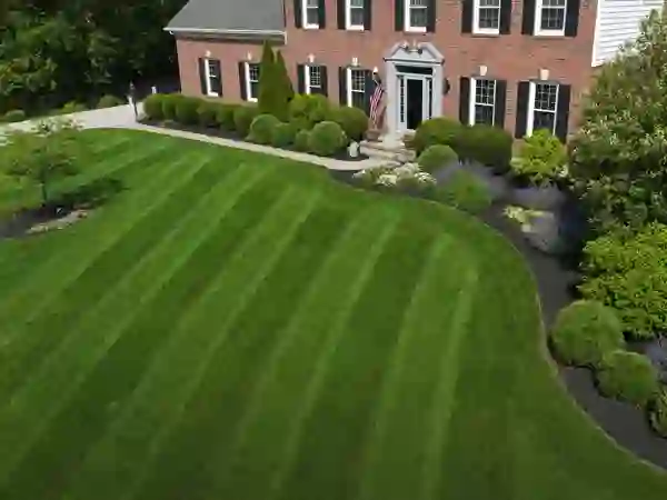 Precision Lawn Program - Southern Landscape Management